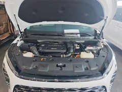 Buick GL8 New Energy Luzun Smart Comfort Edition 7-Seater - ფოტო 19