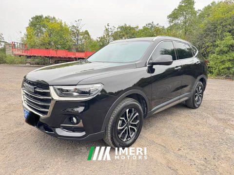2023 Haval H6 National Trend Edition 1.5T Automatic Urban Version - ავტომობილი ჩინეთიდან