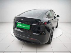 Tesla Model Y Rear-Wheel Drive - ფოტო 4
