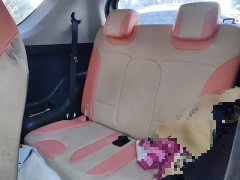 Chery Ant 200,000 Ant Fans Edition Talented Version Ternary Lithium 301km - ფოტო 13