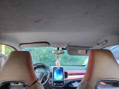 Chery Ant 200,000 Ant Fans Edition Talented Version Ternary Lithium 301km - ფოტო 14