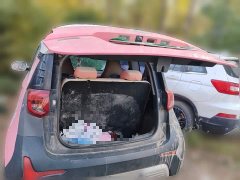 Chery Ant 200,000 Ant Fans Edition Talented Version Ternary Lithium 301km - ფოტო 15