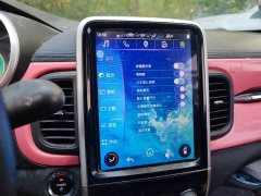 Chery Ant 200,000 Ant Fans Edition Talented Version Ternary Lithium 301km - ფოტო 20