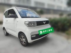 Wuling Hongguang MINIEV Zizai Edition LFP Battery - ფოტო 3