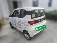 Wuling Hongguang MINIEV Zizai Edition LFP Battery - ფოტო 4