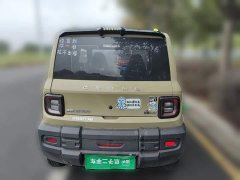 Geely Panda 200km Panda Knight - photo 5
