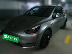 Tesla Model Y Long Range All-Wheel Drive 3D7 - ფოტო 1