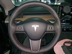 Tesla Model Y Long Range All-Wheel Drive 3D7 - ფოტო 11