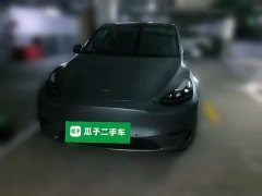 Tesla Model Y Long Range All-Wheel Drive 3D7 - ფოტო 2