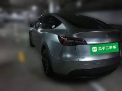 Tesla Model Y Long Range All-Wheel Drive 3D7 - ფოტო 4