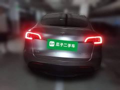 Tesla Model Y Long Range All-Wheel Drive 3D7 - ფოტო 5