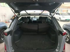 Nissan Venucia VX6 520 Air - ფოტო 18