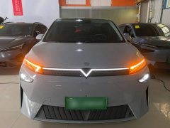 Nissan Venucia VX6 520 Air - ფოტო 2