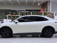 Nio Lerado L60 60kWh Rear-Wheel Drive - ფოტო 4
