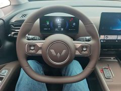 Wuling Starlight 730 New Energy PHEV 125km Luxury - ფოტო 10