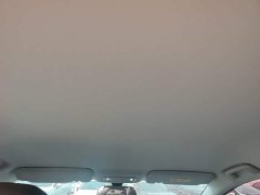 Wuling Starlight 730 New Energy PHEV 125km Luxury - ფოტო 17