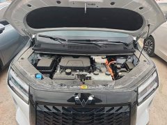 Wuling Starlight 730 New Energy PHEV 125km Luxury - ფოტო 19
