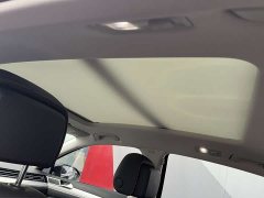 Volkswagen Magotan 330TSI DSG 30th Anniversary Edition - photo 7