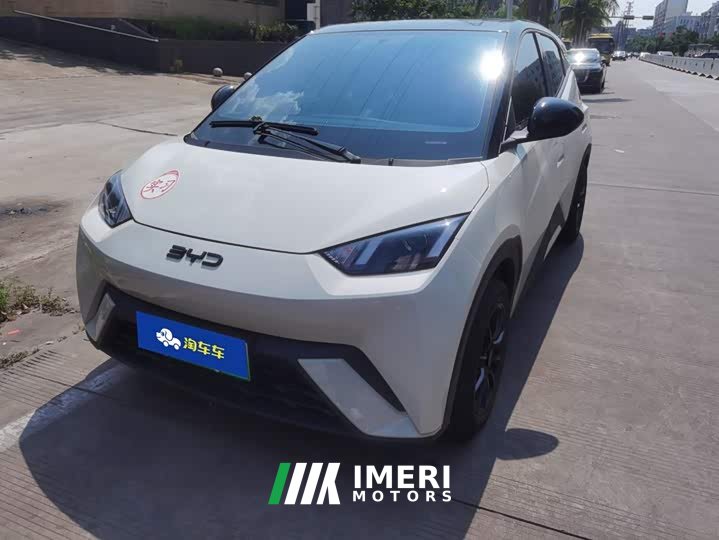 BYD Seagull Glory Edition 305km Vitality Version - ავტომობილი ჩინეთიდან