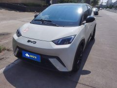 BYD Seagull Glory Edition 305km Vitality Version - ფოტო 1