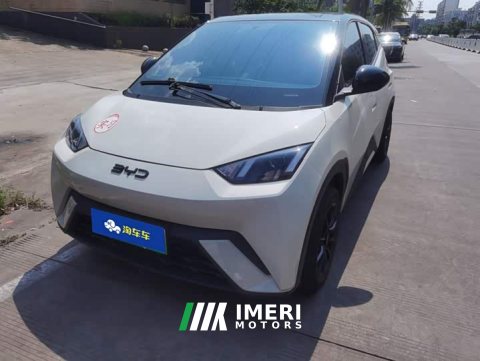 2024 BYD Seagull Glory Edition 305km Vitality Version - ავტომობილი ჩინეთიდან