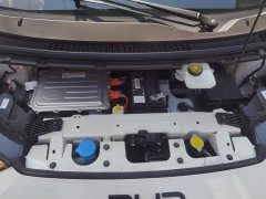 BYD Seagull Glory Edition 305km Vitality Version - ფოტო 10