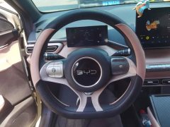 BYD Seagull Glory Edition 305km Vitality Version - ფოტო 15