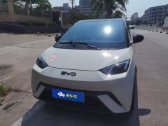 BYD Seagull Glory Edition 305km Vitality Version - ფოტო 2