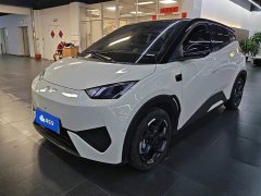 BYD Seagull Smart Driving Edition 305km Freedom Edition - фото 1