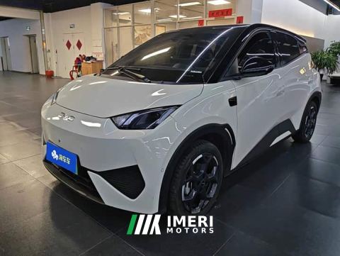 2025 BYD Seagull Smart Driving Edition 305km Freedom Edition