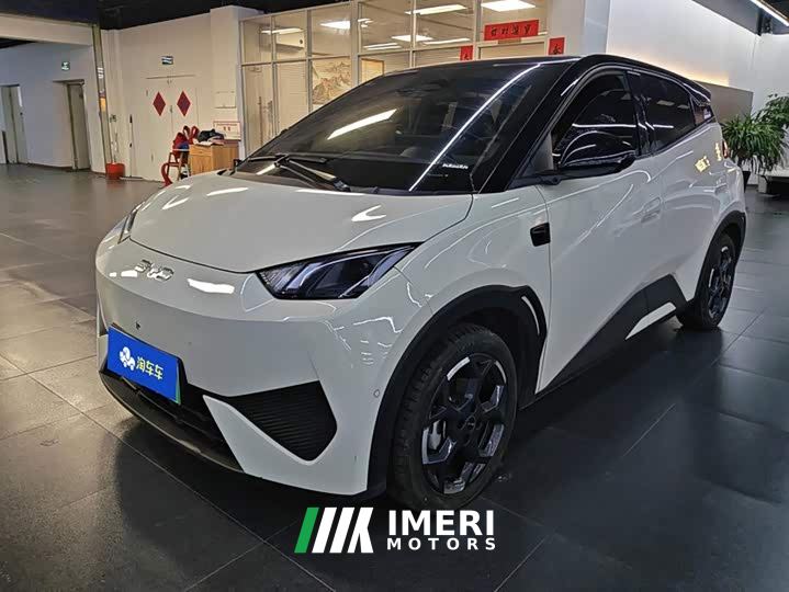 BYD Seagull Smart Driving Edition 305km Freedom Edition
