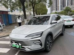 BYD Song Plus New Energy DM-i 110km Flagship Honors Edition - photo 1