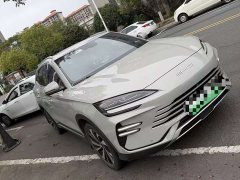 BYD Song Plus New Energy DM-i 110km Flagship Honors Edition - photo 3