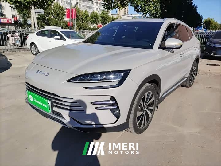 BYD Song Plus New Energy Champion Edition DM-i 110KM Flagship Plus