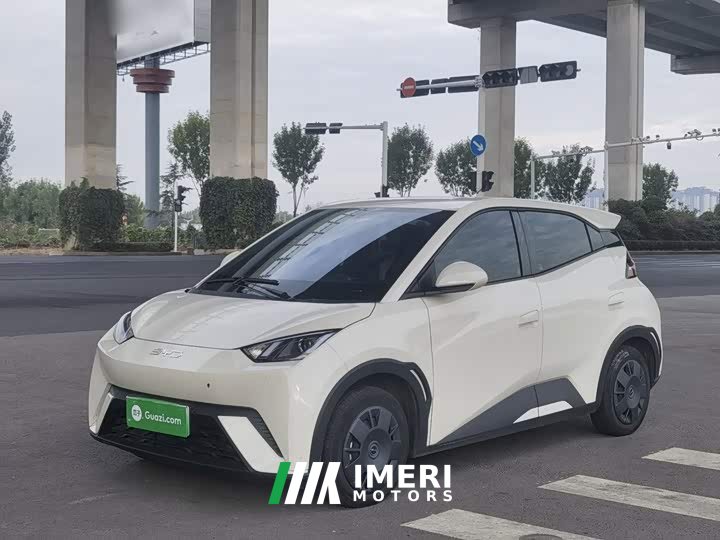 BYD Seagull 305km Vitality Edition - ავტომობილი ჩინეთიდან