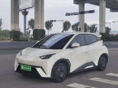 BYD Seagull 305km Vitality Edition - ფოტო 1