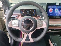 BYD Seagull 305km Vitality Edition - ფოტო 10