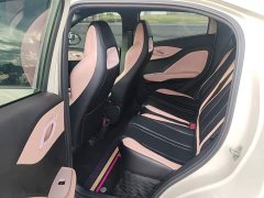 BYD Seagull 305km Vitality Edition - ფოტო 16