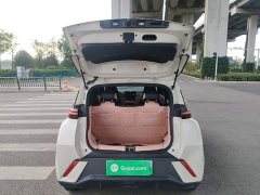 BYD Seagull 305km Vitality Edition - ფოტო 18