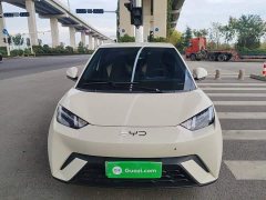 BYD Seagull 305km Vitality Edition - ფოტო 2