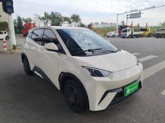BYD Seagull 305km Vitality Edition - ფოტო 3