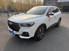 Haval H6 National Trend Edition 1.5T Automatic Champion Version - ფოტო 1