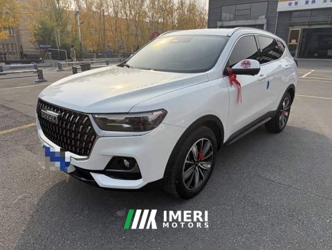 2024 Haval H6 National Trend Edition 1.5T Automatic Champion Version - ავტომობილი ჩინეთიდან