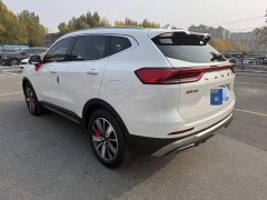 Haval H6 National Trend Edition 1.5T Automatic Champion Version - ფოტო 4