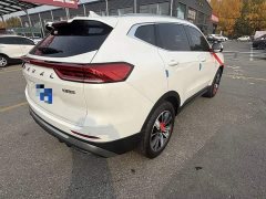 Haval H6 National Trend Edition 1.5T Automatic Champion Version - ფოტო 5
