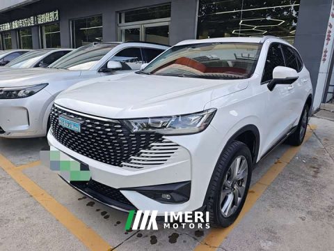 2022 Haval H6 New Energy DHT-PHEV 110KM Joy Edition - ავტომობილი ჩინეთიდან