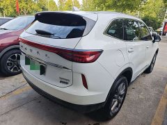 Haval H6 New Energy DHT-PHEV 110KM Joy Edition - ფოტო 2