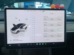 Tesla Model 3 Rear-Wheel Drive - photo 11