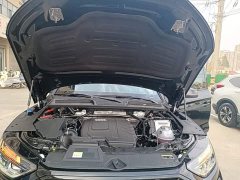 Audi Q5L 45th Anniversary Edition 40 TFSI Luxury Dynamic - фото 19