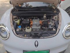 ORA Good Cat 401km Standard Range Luxury Trim Ternary Lithium Battery - photo 10